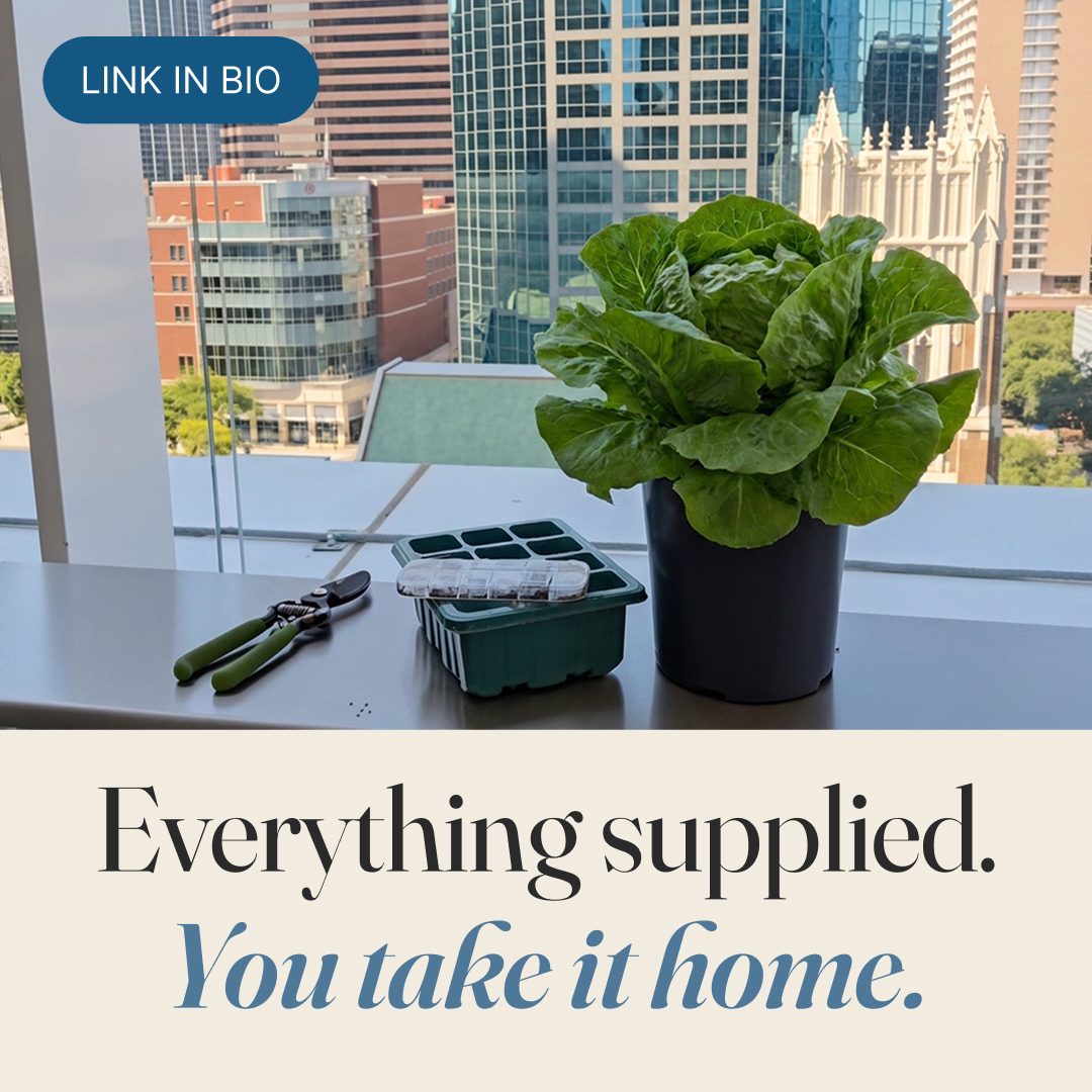 Plant Bingo carousel, slide 3