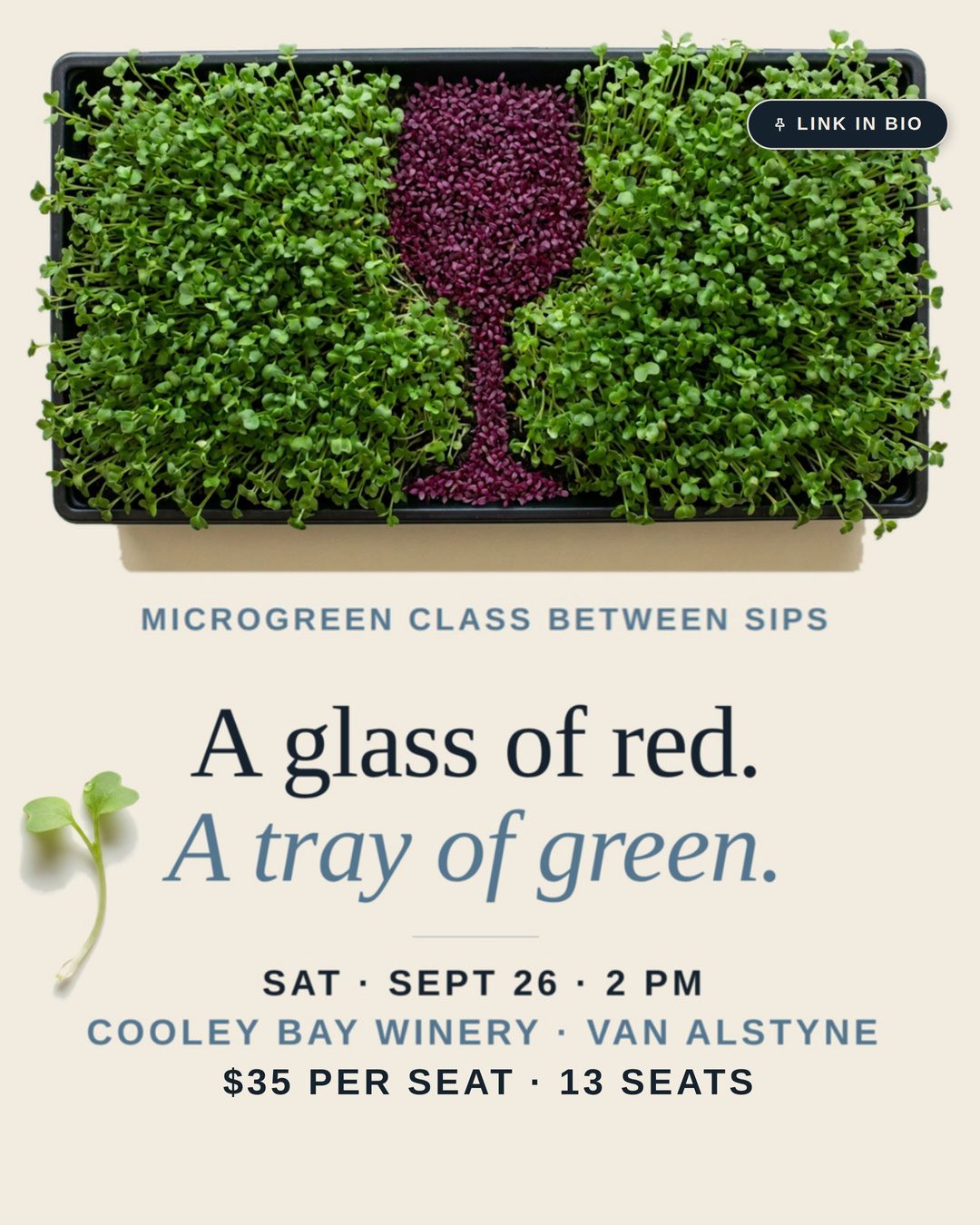 Instagram post for the microgreens class at Cooley Bay